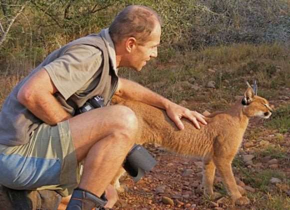 Tetha-caracal-animal-communication-simply-energetic